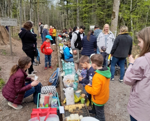 längste Bank der Welt Walderkungspfad